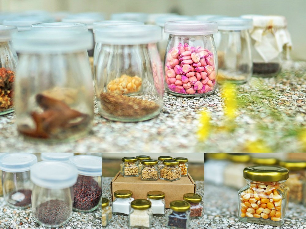 台中新社景點-布拉姆田莊 親子體驗活動 採枇杷、爆米花 DIY 、槌染、香菇娃娃體驗