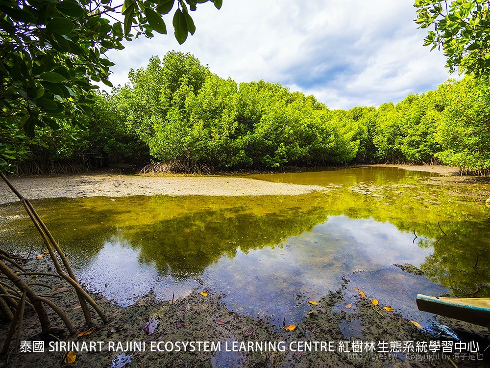 泰國 SIRINART RAJINI ECOSYSTEM LEARNING CENTRE 紅樹林生態系統學習中心