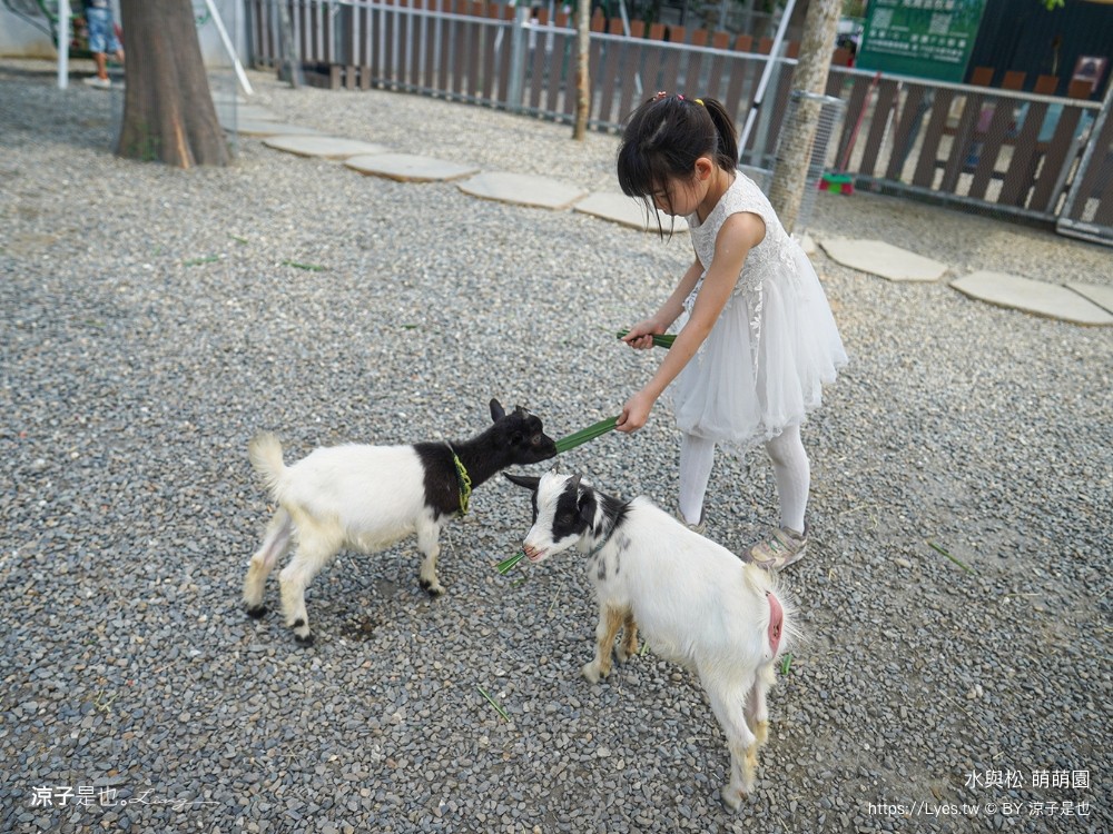 水與松萌萌園 門票 埔里 親子景點 動物園 埔里一日遊推薦 南投農場 羊駝 水豚君 南投景點