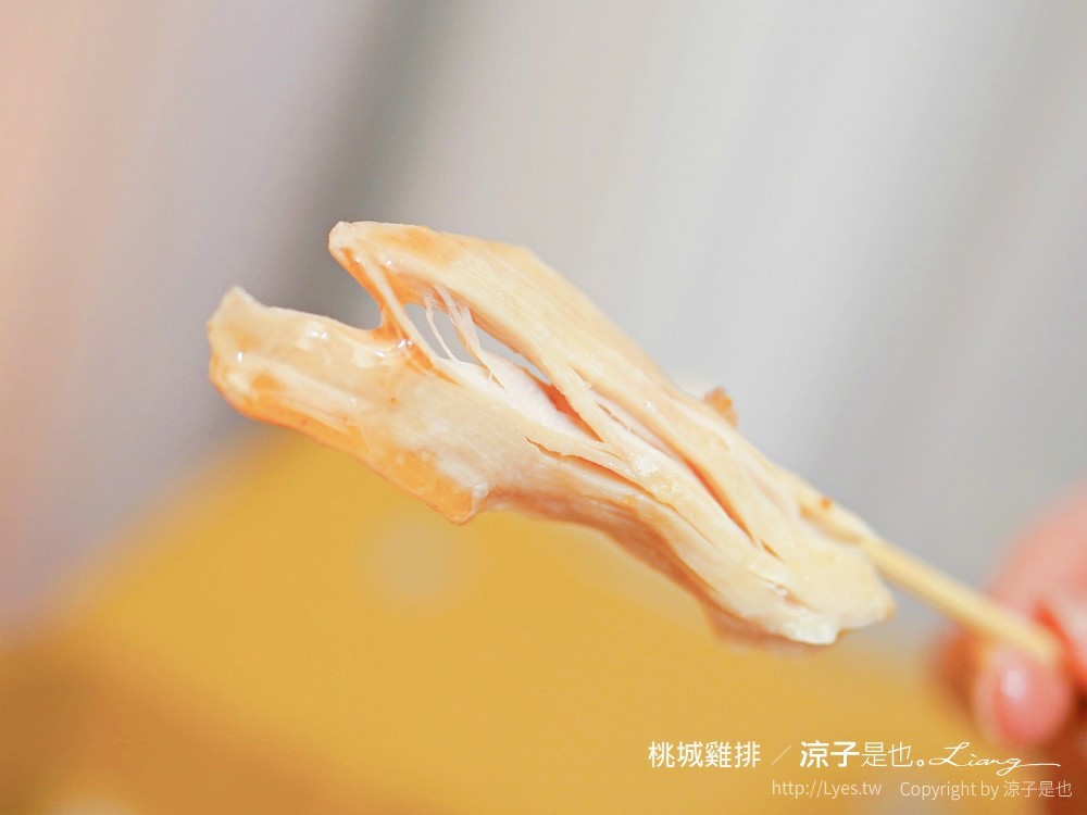 嘉義美食-桃城雞排(附菜單) 中正創始店 炸全雞超豪邁 秘製椒麻醬還蠻香滴！