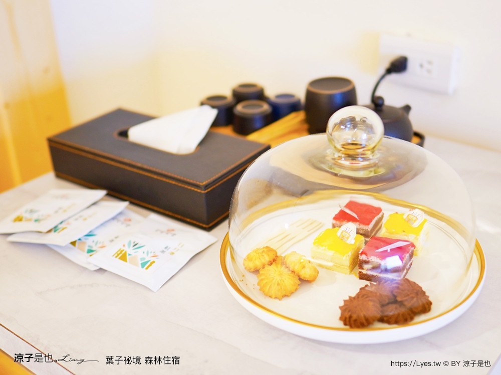 葉子祕境 南投埔里民宿 森林住宿 豪華懶人 netflix disney 日月潭 早餐 晚餐