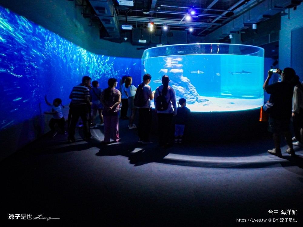 台中海洋館 門票優惠 交通 八大展區 免費票 台中親子景點 台中景點推薦 懶人包 攻略 必看特色