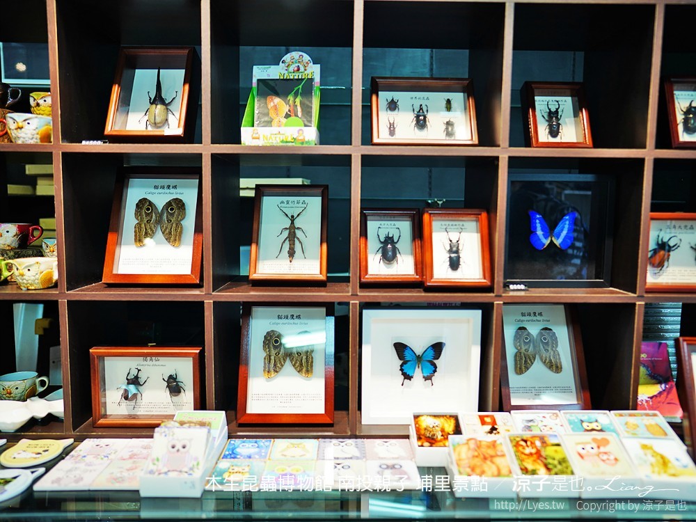 木生昆蟲博物館 南投親子 埔里景點