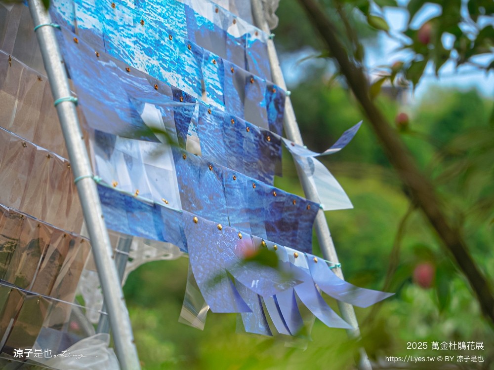 萬金杜鵑花展2025 金山中山溫泉公園 新北景點 北海岸活動 交通 展期 花藝造景 打卡必拍 懶人包