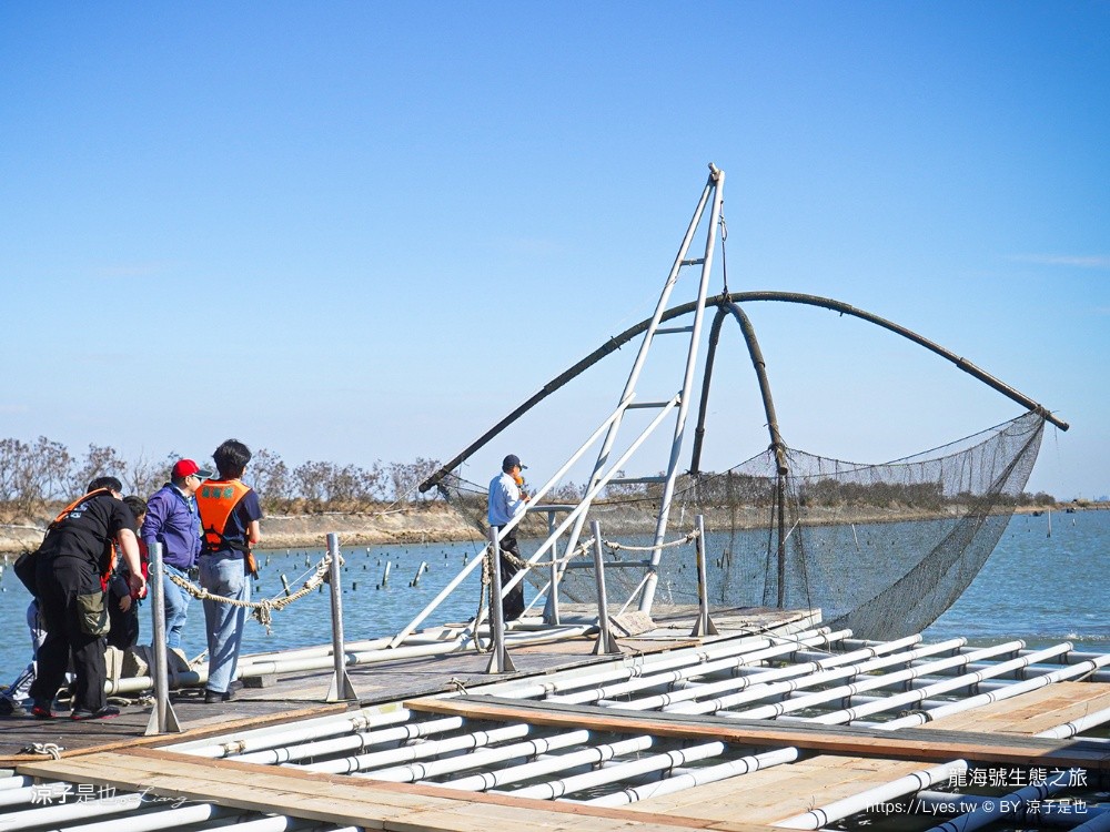龍海號生態之旅 台南七股景點 台南景點 烤蚵吃到飽 親子景點 台南生態旅遊