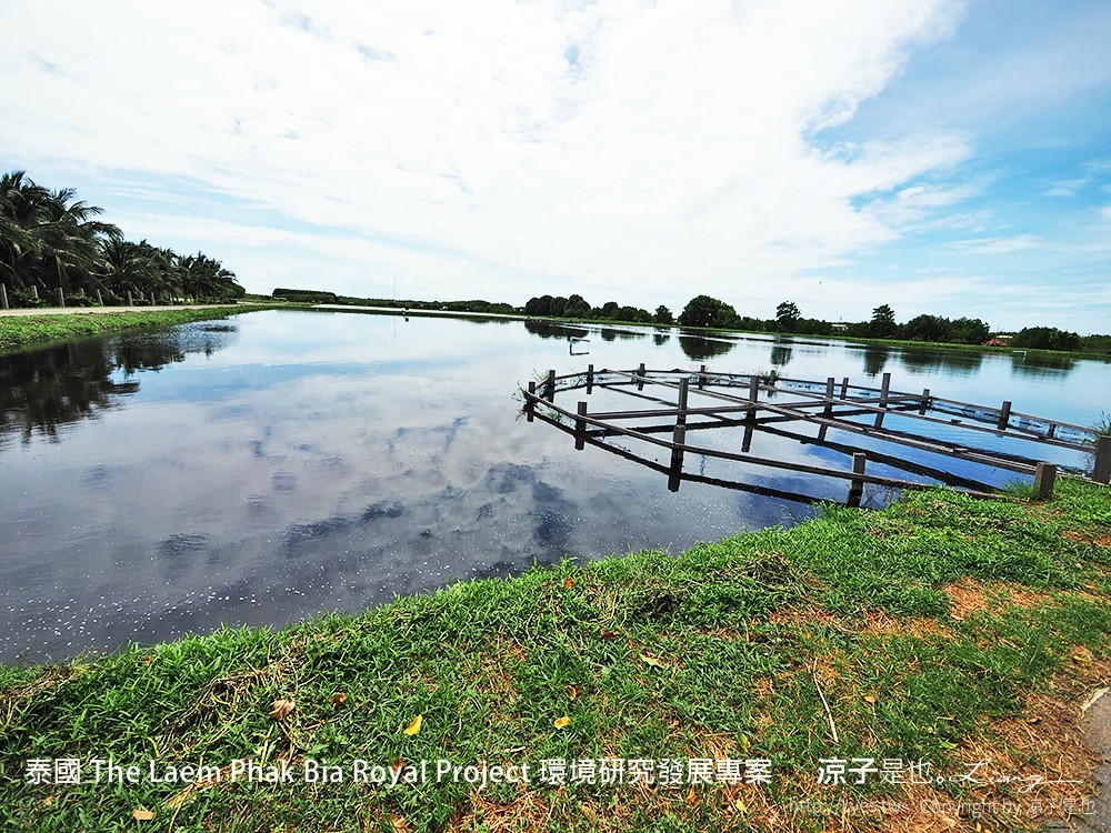 泰國 The Laem Phak Bia Royal Project 環境研究發展專案
