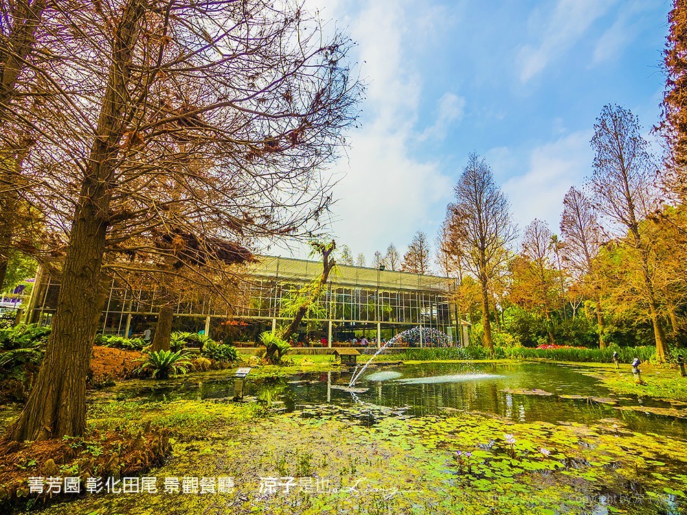 菁芳園 彰化田尾 景觀餐廳