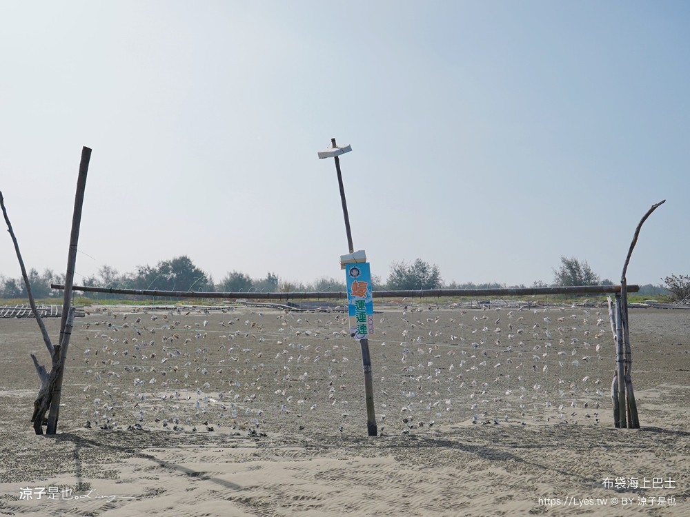 布袋海上巴士 嘉義親子景點 門票價格 蛋糕沙灘 網美拍照打卡 生態導覽