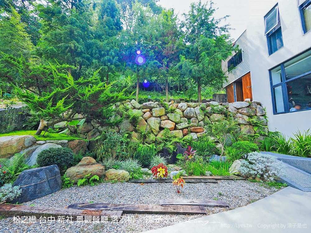 松之戀 台中 新社 景觀餐廳 落羽松