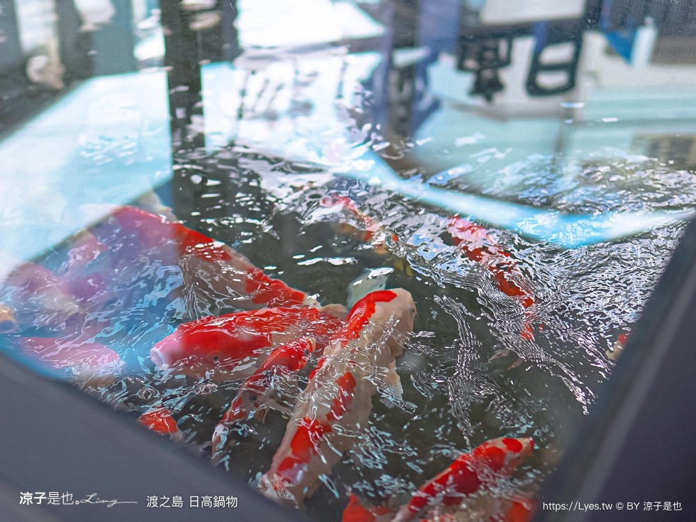 渡之島日高鍋物 菜單 南投埔里火鍋 埔里鍋物 埔里美食推薦 18度c 牛奶鍋 壽喜燒 和牛