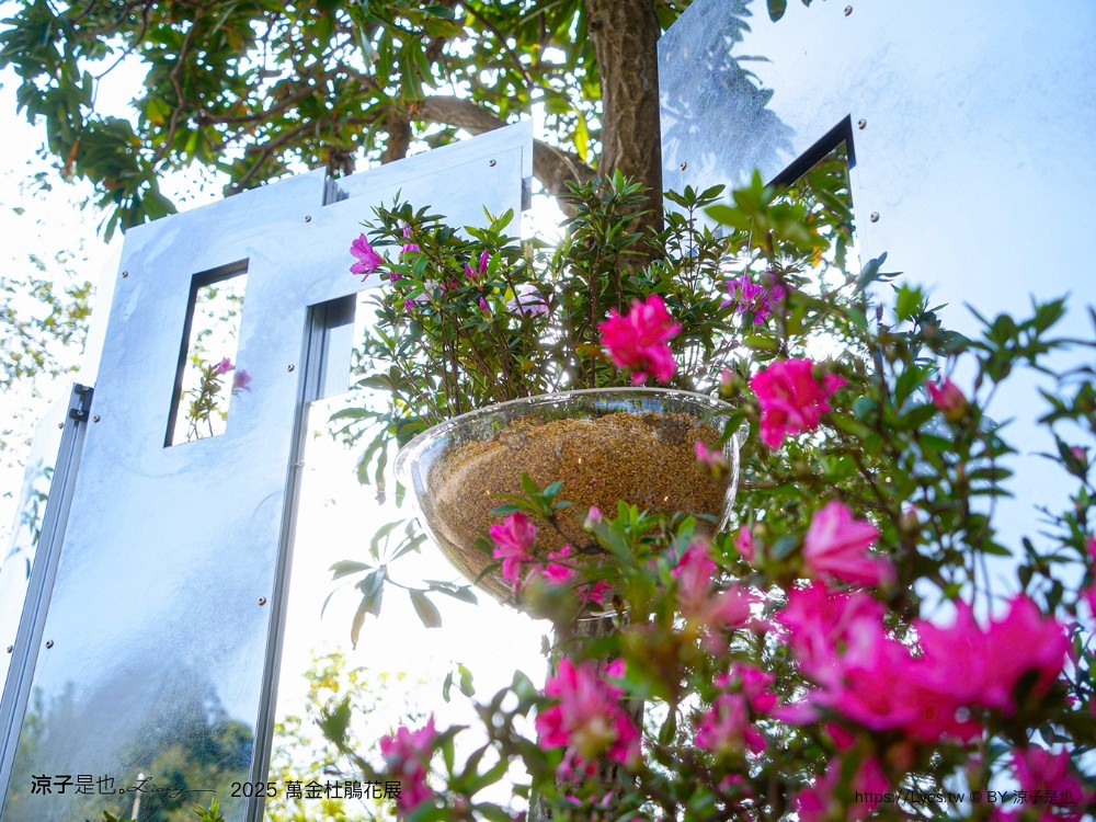 萬金杜鵑花展2025 金山中山溫泉公園 新北景點 北海岸活動 交通 展期 花藝造景 打卡必拍 懶人包