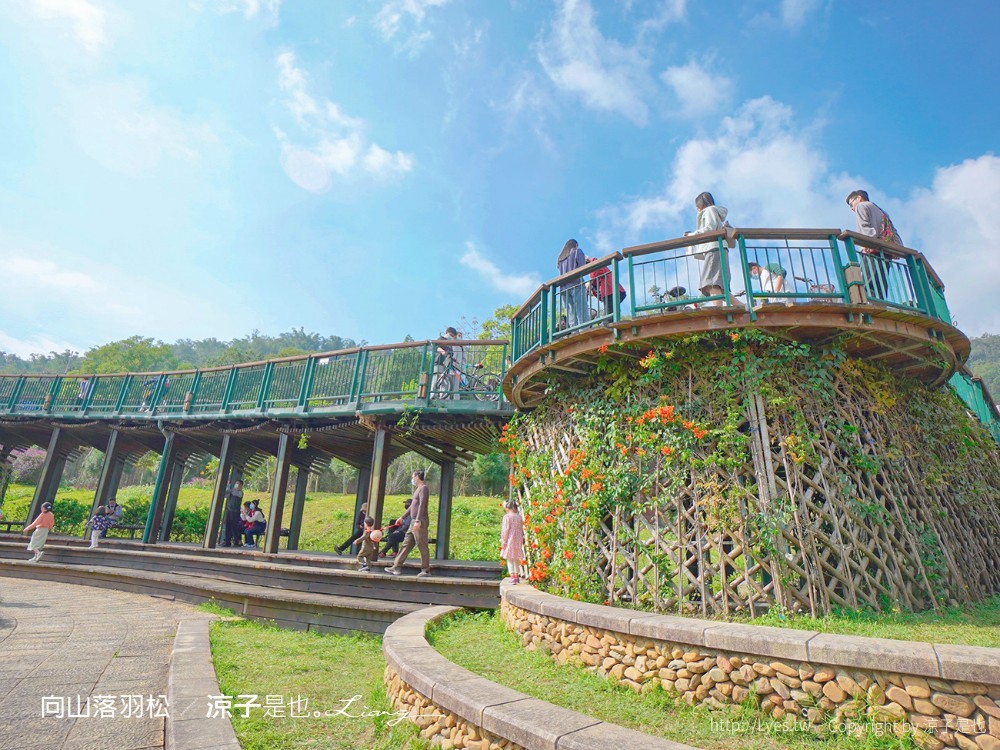 向山落羽松 日月潭自行車道 湖畔 落羽松步道 日月潭景點推薦 IG打卡 南投親子