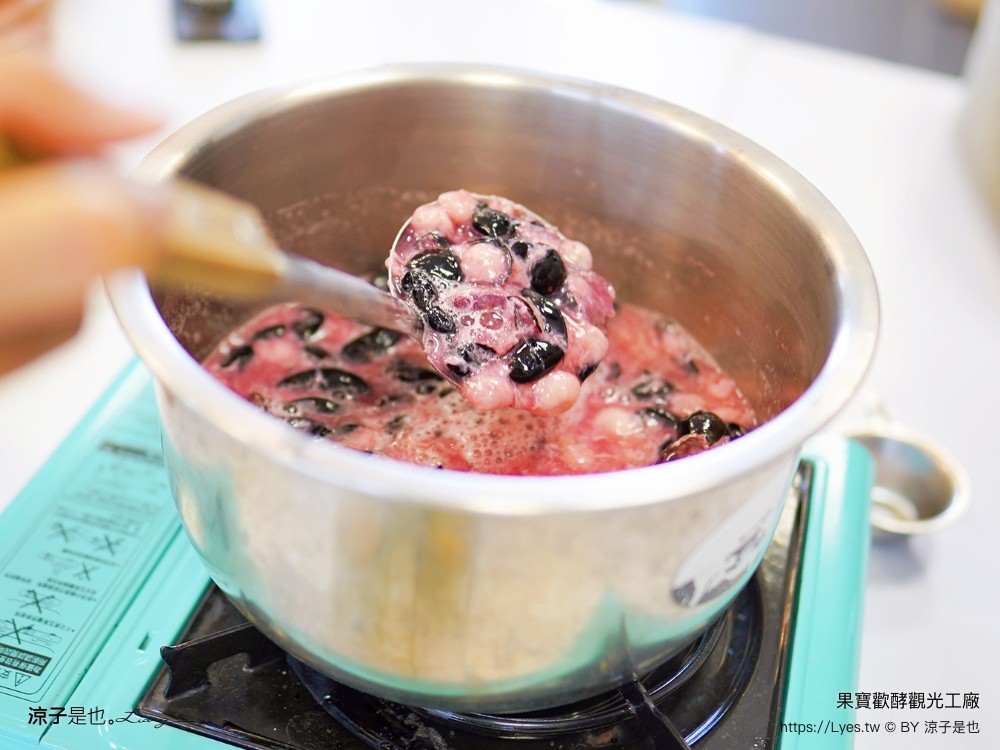 果寶歡酵觀光工廠 有機嘉寶果農場 門票 樹葡萄 南投埔里 親子景點 diy體驗 桃米休閒農業區