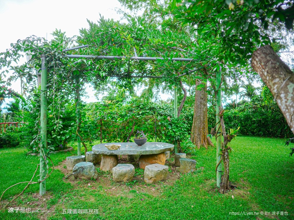 五隆園咖啡B&B景觀莊園 台南東山景觀餐廳 東山咖啡 菜單 台南最高餐廳 合菜餐廳 五隆園咖啡民宿