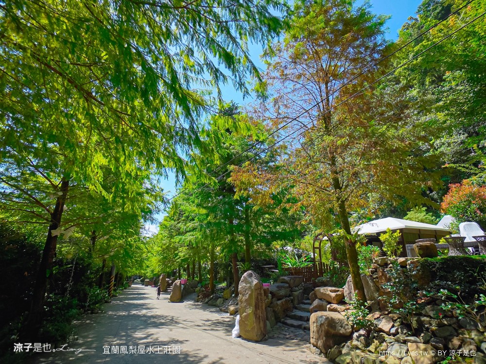 鳳梨屋水上莊 餵羊 早餐 晚餐 帳棚 親子diy