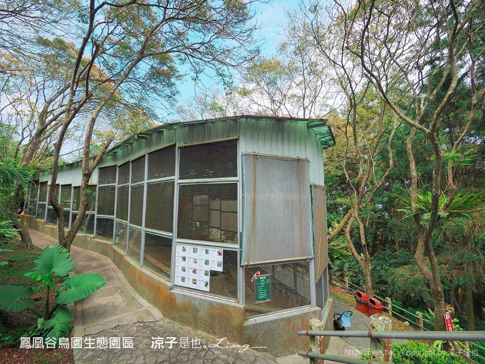 鳳凰谷鳥園生態園區 南投 親子景點 森林溜滑梯 賞鳥 DIY 鹿谷 步道 吊橋 瀑布