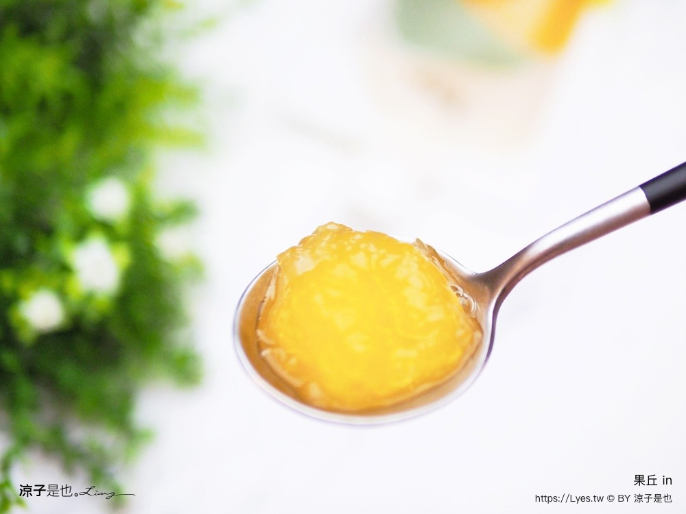 南投埔里 美食 埔里伴手禮 埔里必買 宅配美食 果丘in新品必買