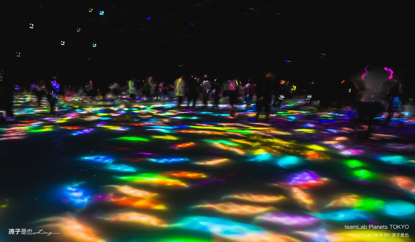 teamLab Planets TOKYO 東京teamLab 豐洲teamLab 東京景點 日本自由行