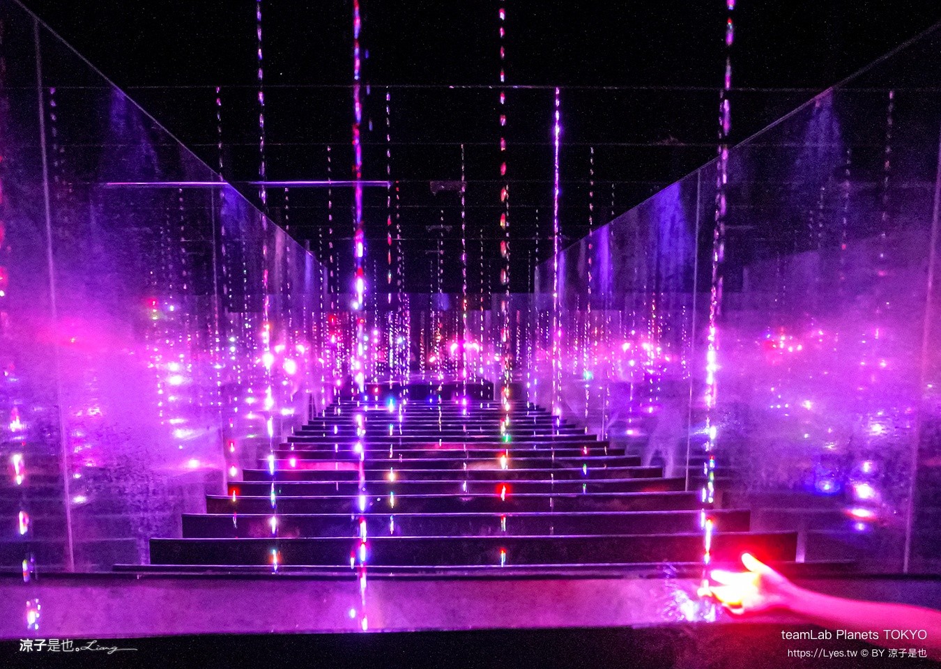 teamLab Planets TOKYO 東京teamLab 豐洲teamLab 東京景點 日本自由行