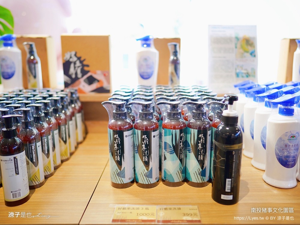 南投名間親子生態園區 南投親子公園 彩虹溜滑梯 盪鞦韆 免門票親子景點 野餐 天空步道 2022重新開幕