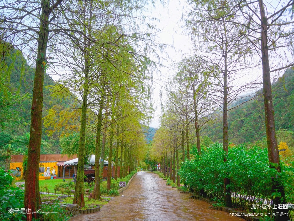 鳳梨屋水上莊園 宜蘭景點 一日遊 鳳梨屋門票 戲水池 動物園 水豚君 網美景點 水簾鞦韆 鳳梨泳池 餵羊 宜蘭豪華懶人露營 Villa 網美景點