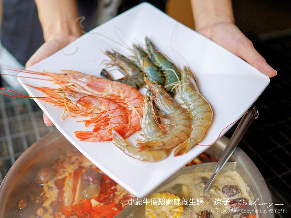 小蒙牛頂級麻辣養生鍋 台中 文心 麻辣火鍋吃到飽 崇德商圈 哈根達司 和牛 美食 菜單