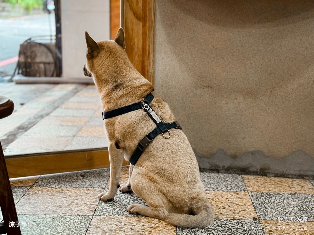 欣欣乾洗廠 菜單 台中早午餐 火車站 文青咖啡廳 台中老宅餐廳 寵物友善咖啡廳 台中ig美食 特色餐廳 復古