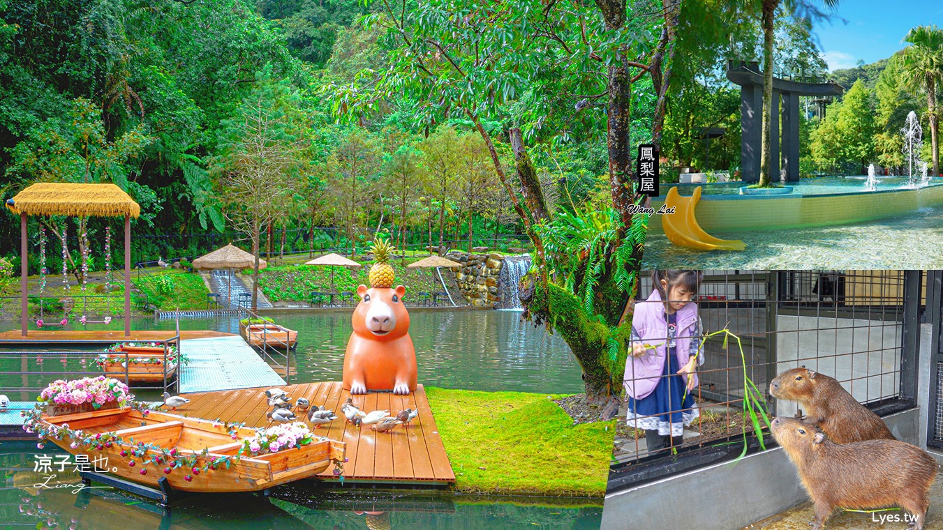 鳳梨屋水上莊園 宜蘭景點 一日遊 鳳梨屋門票 戲水池 動物園 水豚君 網美景點 水簾鞦韆 鳳梨泳池 餵羊 宜蘭豪華懶人露營 Villa 網美景點