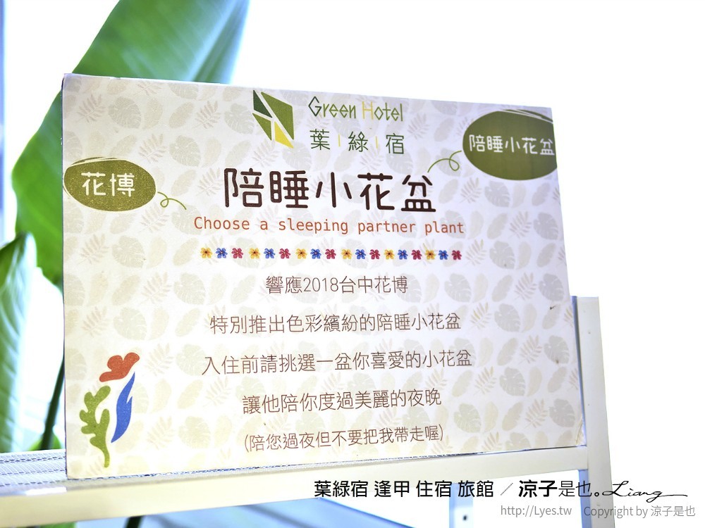 葉綠宿 逢甲 住宿 旅館