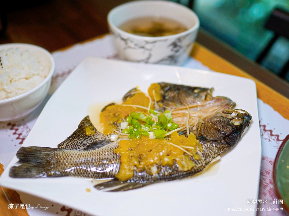 鳳梨屋水上莊園 宜蘭景點 一日遊 鳳梨屋門票 戲水池 動物園 水豚君 網美景點 水簾鞦韆 鳳梨泳池 餵羊 宜蘭豪華懶人露營 Villa 網美景點