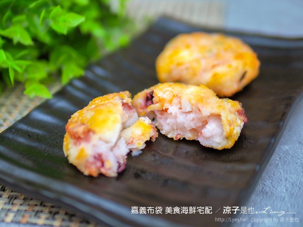 嘉義布袋 團購美食宅配 嘉義漁家樂無毒蝦養殖場 九龍活海產 黑皮海鮮餐廳