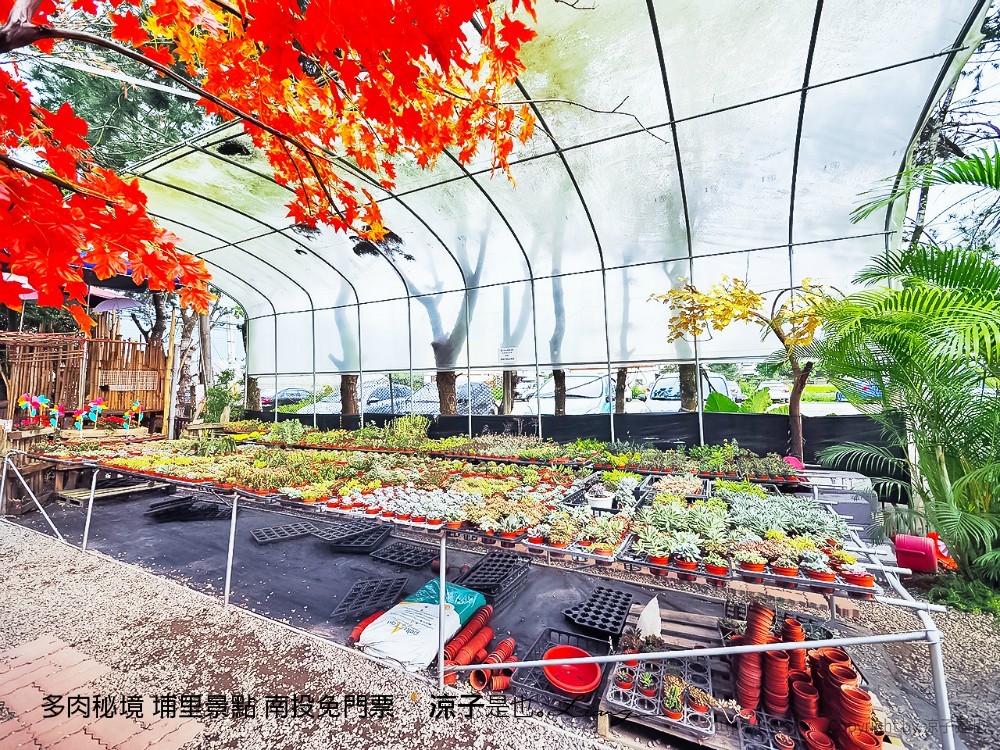 多肉秘境 埔里景點 南投免門票