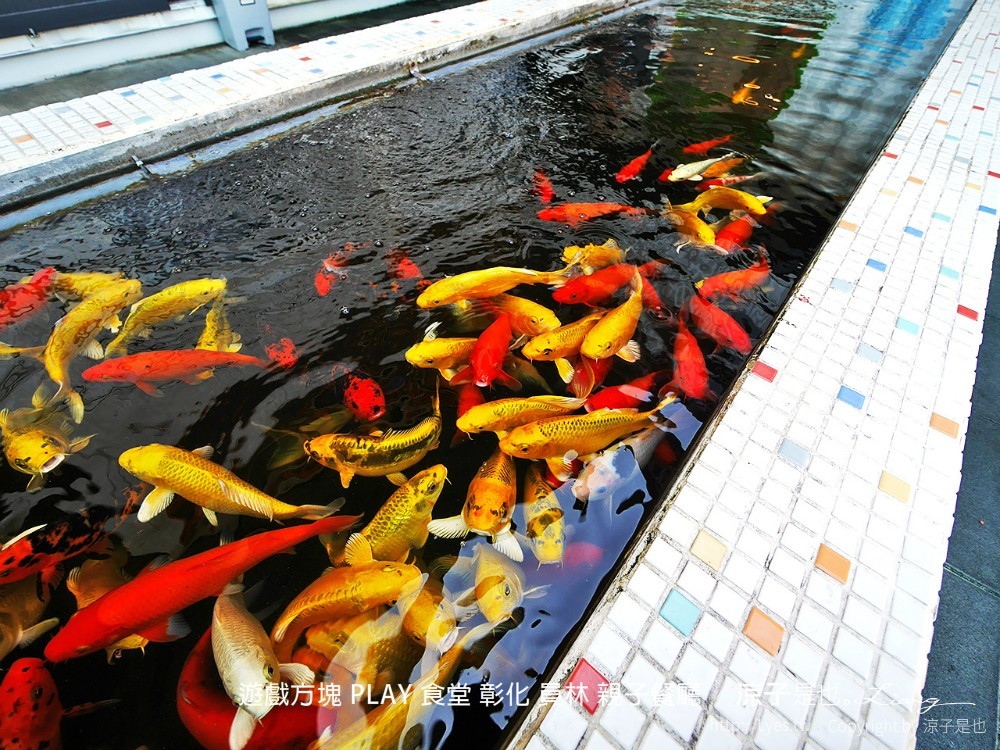 遊戲方塊 play 食堂 彰化 員林 親子餐廳