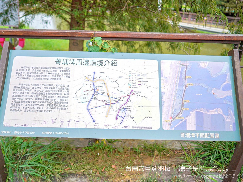 台南六甲落羽松森林秘境 台南景點 親子 2022 交通 停車場 台南一日遊 季節