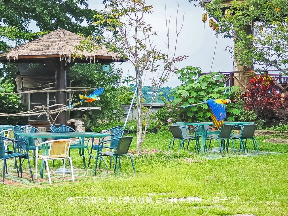 新社景點-櫻花鳥森林 迷你小火車x溜滑梯戲水區x鸚鵡放飛秀x露營 不止花好拍 親子旅遊也好玩！