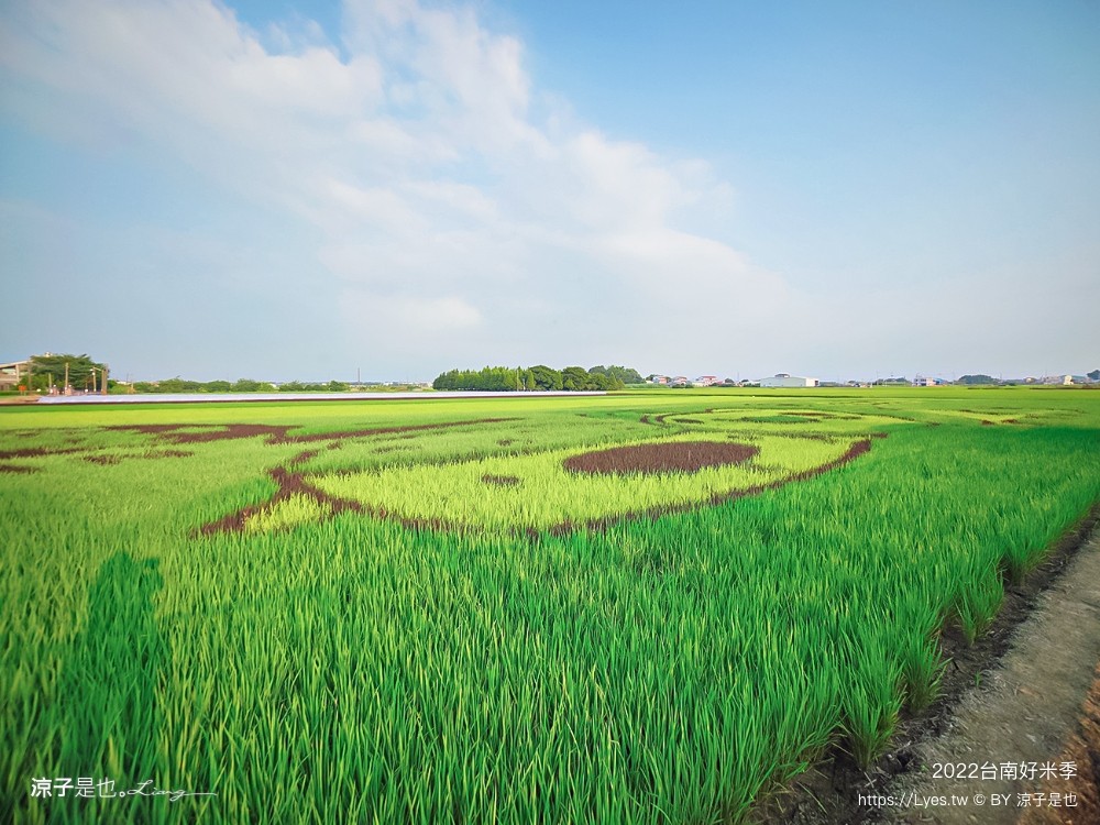 2022台南好米季 台南後壁景點 稻田彩繪 貓貓蟲咖波 稻陣走健走活動 網美打卡 親子景點