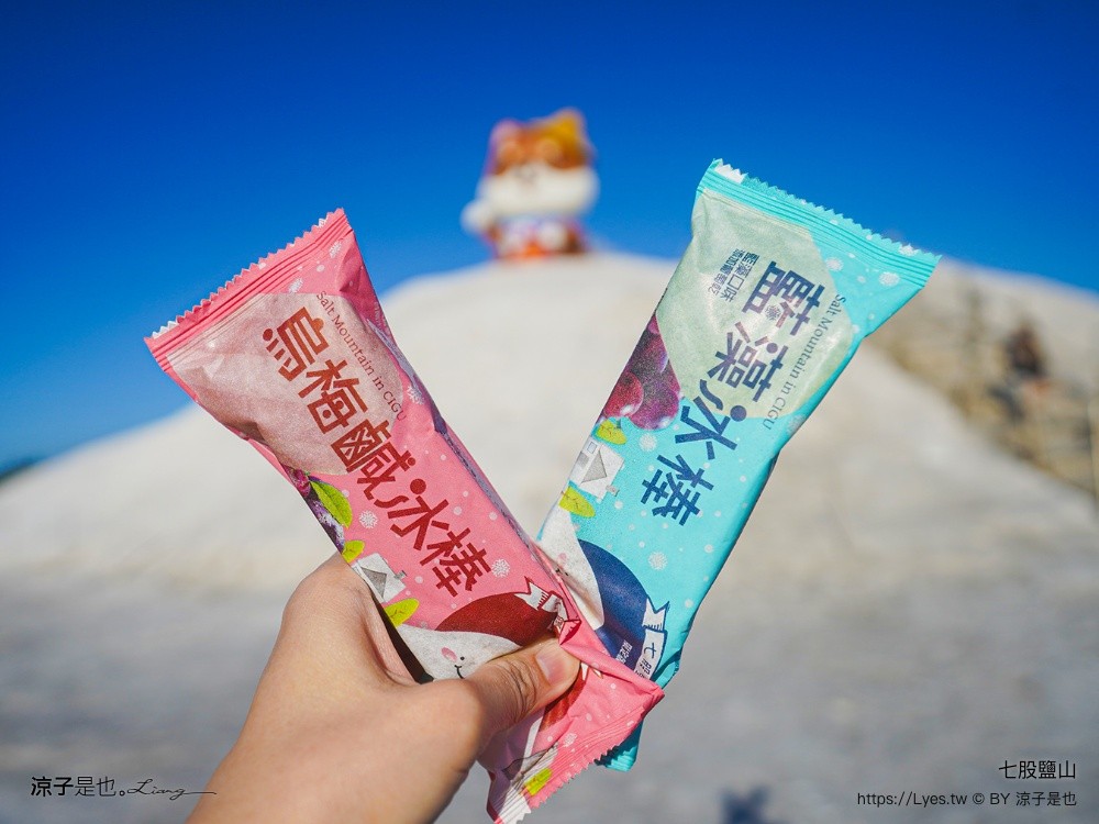 七股鹽山 台南景點 台南親子景點 七股一日遊 鹽罐DIY 寵物友善