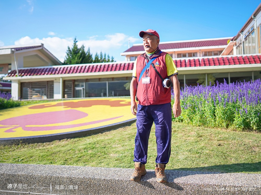 福壽山農場 民宿房型 住宿 露營 蘋果
