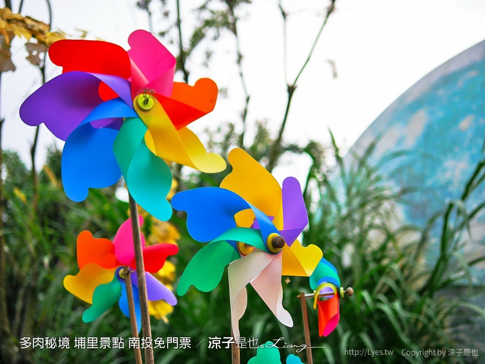 多肉秘境 埔里景點 南投免門票