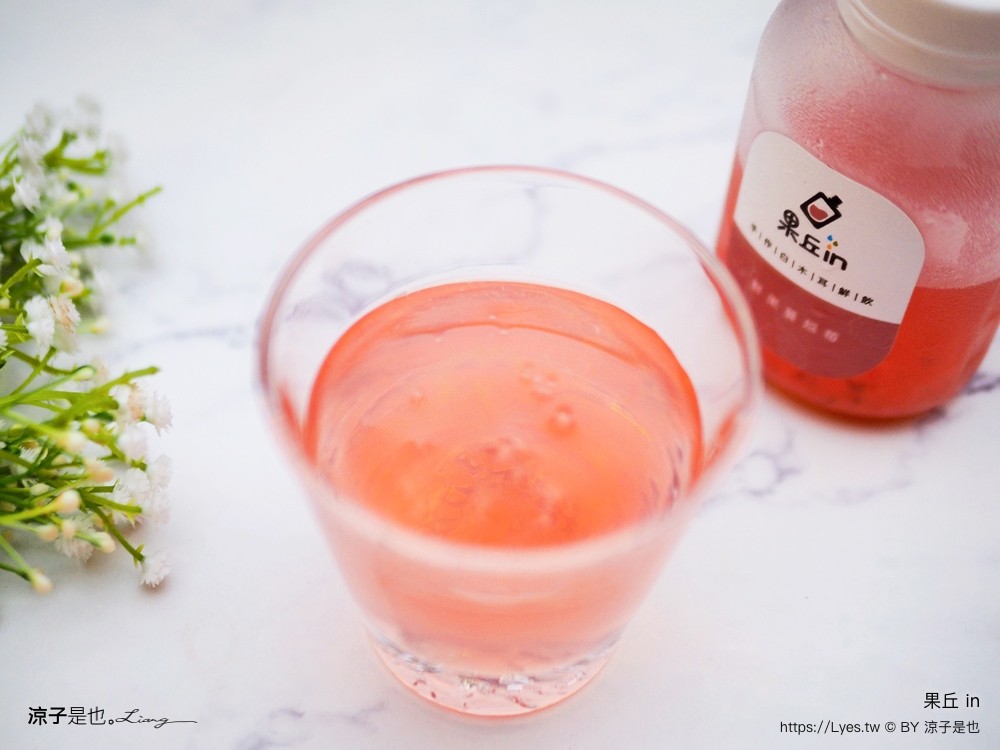 南投埔里 美食 埔里伴手禮 埔里必買 宅配美食 果丘in新品必買