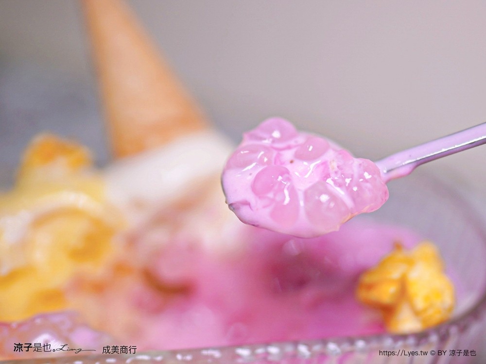 成美豐仁冰 菜單 一中街 孔廟 水果冰 豐仁冰創始店 台中手工冰淇淋 成美商行 飲料 冰沙 水餃 泡麵