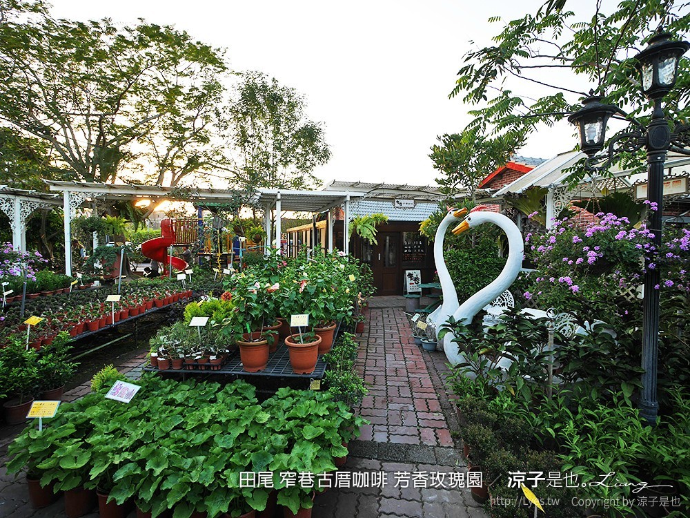 田尾 窄巷古厝咖啡 芳香玫瑰園