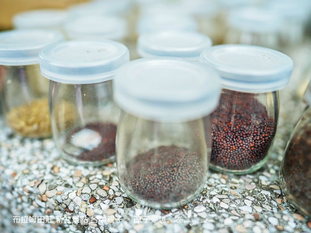 布拉姆田莊 新社景點 台中親子景點 新社美食 親子DIY 台中景點 台中親子景點 DIY活動