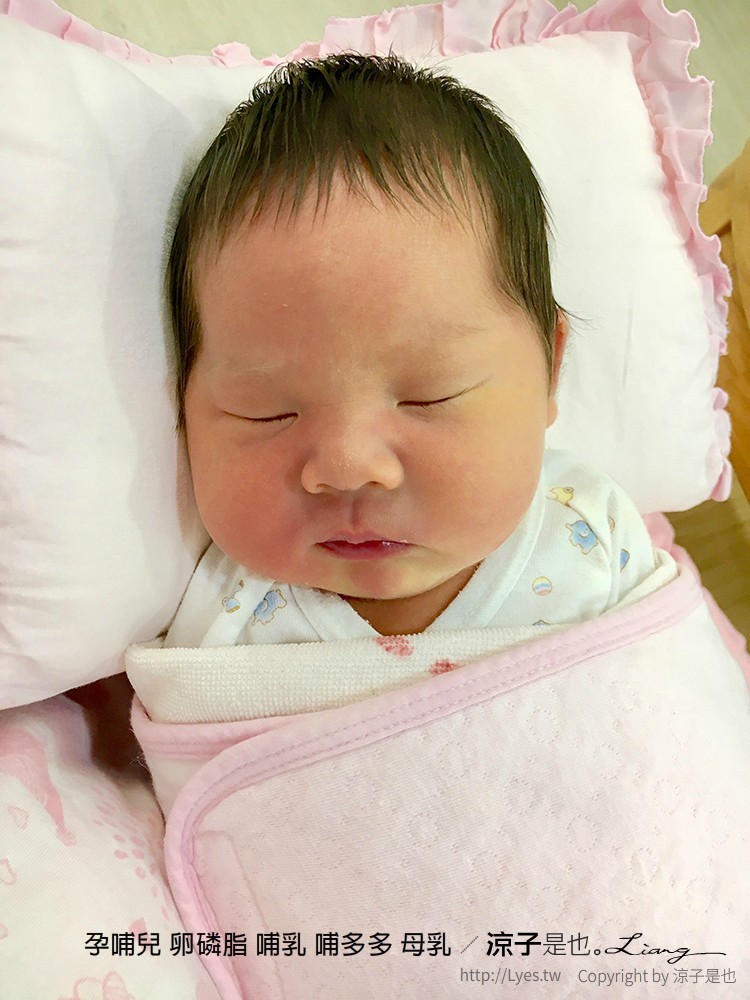 孕哺兒 卵磷脂 哺乳 哺多多 母乳