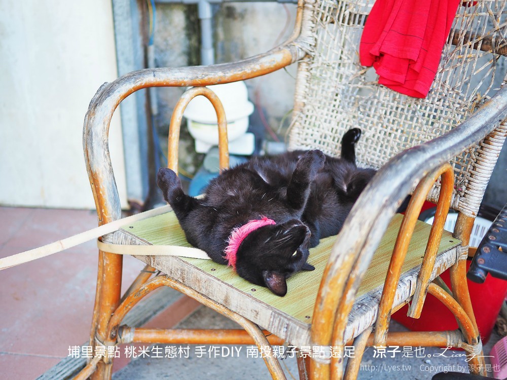 埔里景點 桃米生態村 手作diy 南投親子景點 遠足