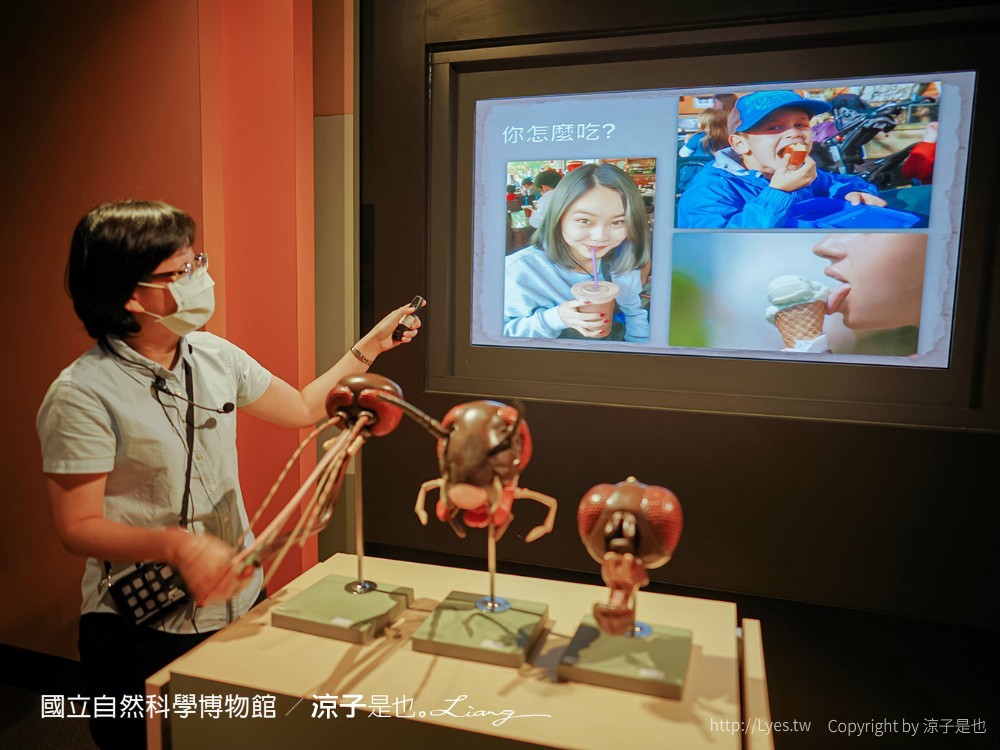 台中科博館 台中室內親子景點 國立自然科學博物館 線上購票 交通 美食 恐龍侏儸紀公園 iCoBo 手機app i科博
