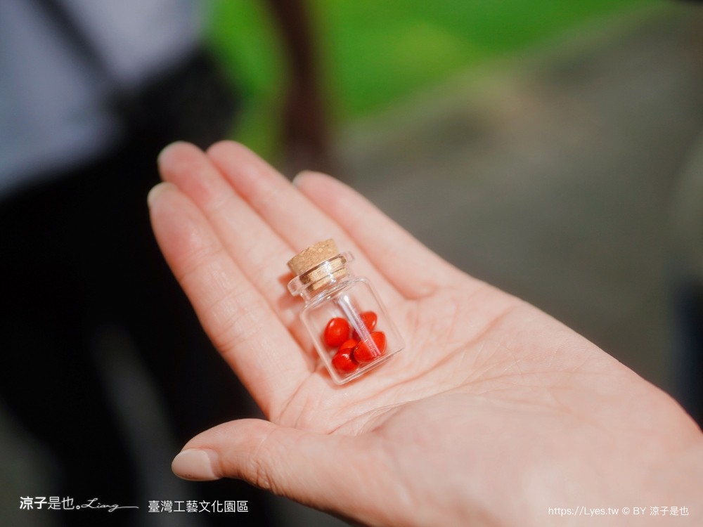 台灣工藝文化園區 南投景點 草屯 親子景點 diy體驗 兒童遊戲室 工藝行旅 國立臺灣工藝研究發展中心