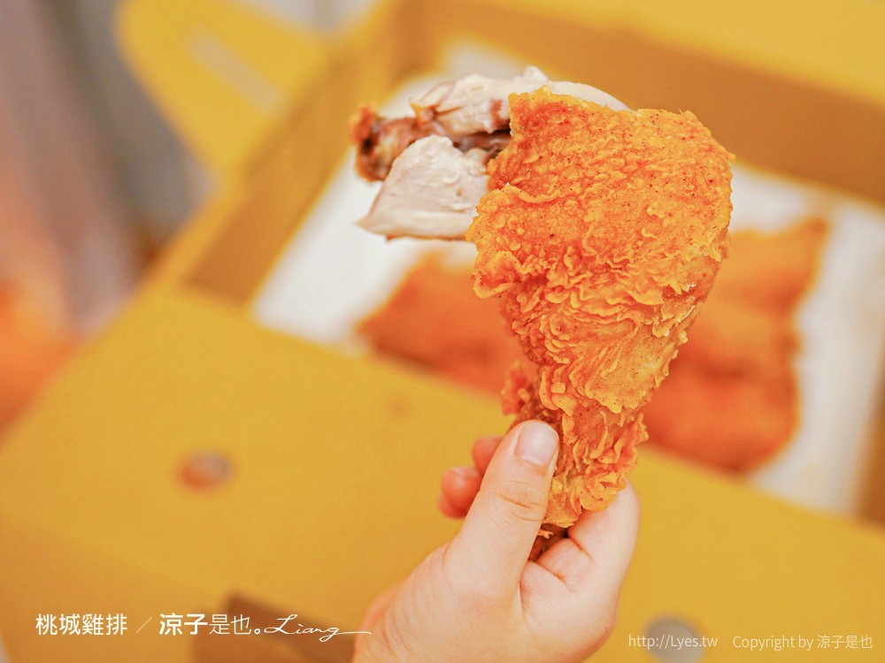 嘉義美食-桃城雞排(附菜單) 中正創始店 炸全雞超豪邁 秘製椒麻醬還蠻香滴！