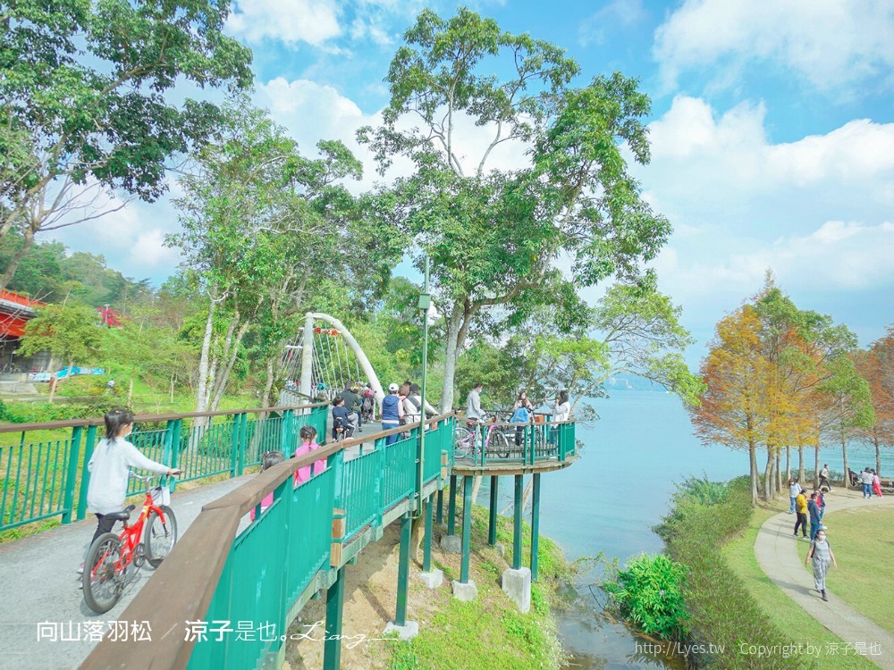 向山落羽松 日月潭自行車道 湖畔 落羽松步道 日月潭景點推薦 IG打卡 南投親子