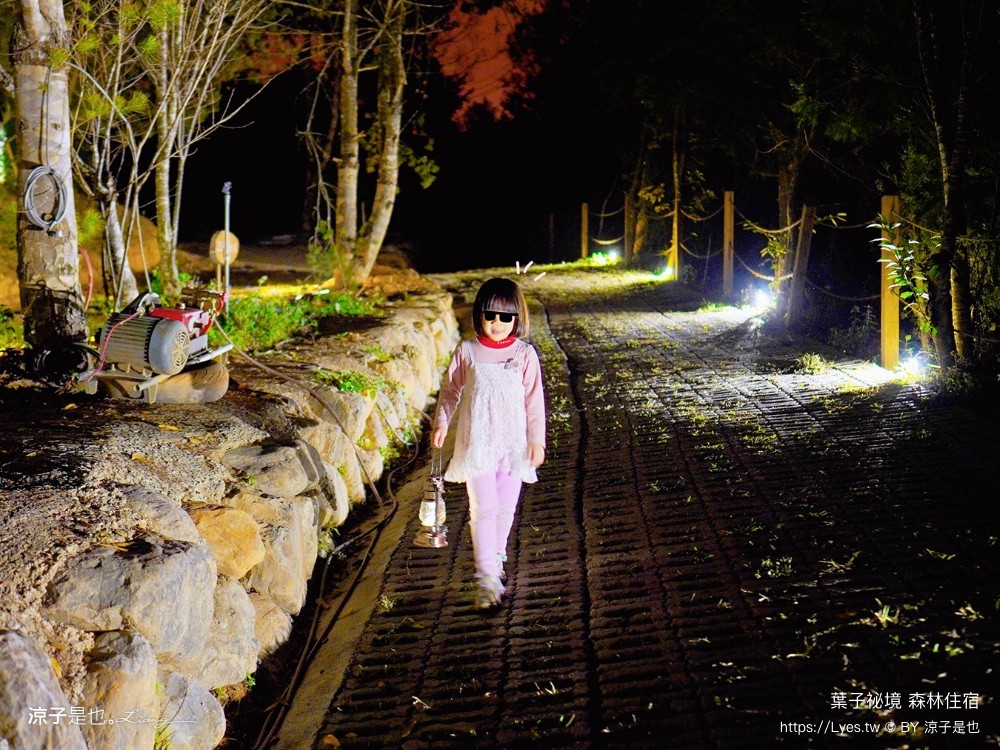 葉子祕境 南投埔里民宿 森林住宿 豪華懶人 netflix disney 日月潭 早餐 晚餐